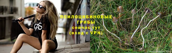 соль ск Армянск