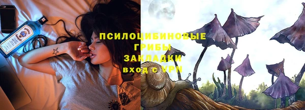 spice Арсеньев
